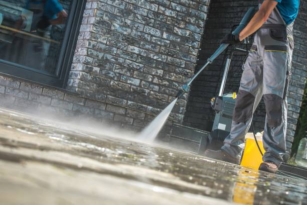 Best Oil Spill Cleanup  in Alamo, TX