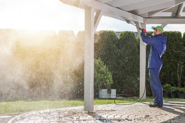 Best Soft Washing  in Alamo, TX