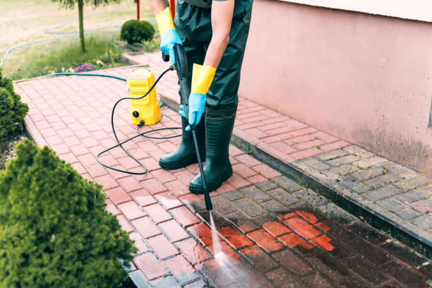 Best Warehouse Cleaning  in Alamo, TX