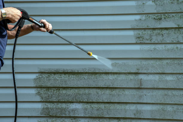 Best Restaurant Pressure Washing  in Alamo, TX